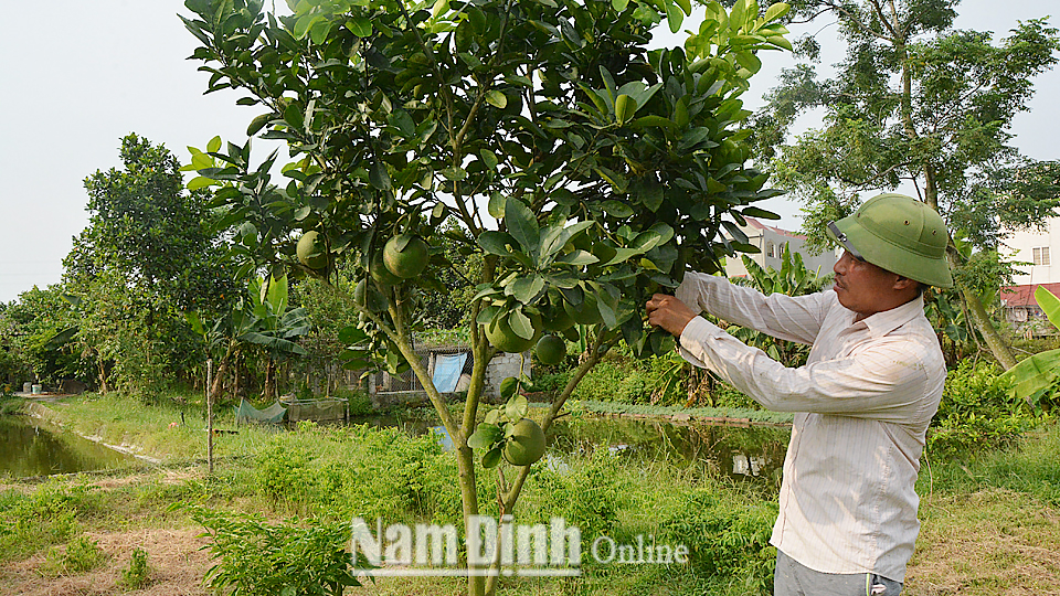 Tin mưa dông diện rộng