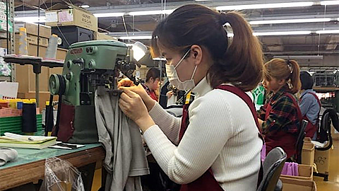 Doanh nghiệp Nhật Bản muốn tuyển dụng cựu thực tập sinh Việt Nam