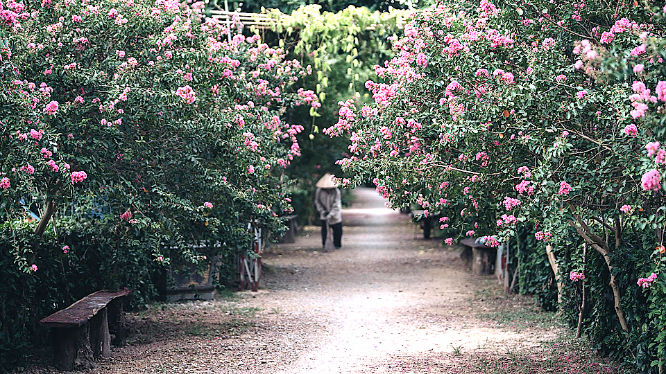 Dự báo thời tiết thủy văn đêm 25 ngày 26-7-2019 trên địa bàn tỉnh Nam Định