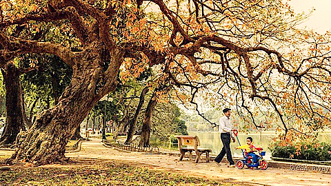 Bâng khuâng mùa thu