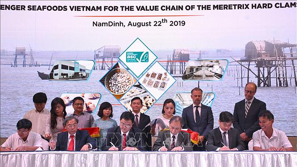 Ký hợp đồng liên kết chuỗi sản xuất, chế biến ngao theo tiêu chuẩn ASC