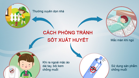 Sốt xuất huyết - khi nào là nguy hiểm?