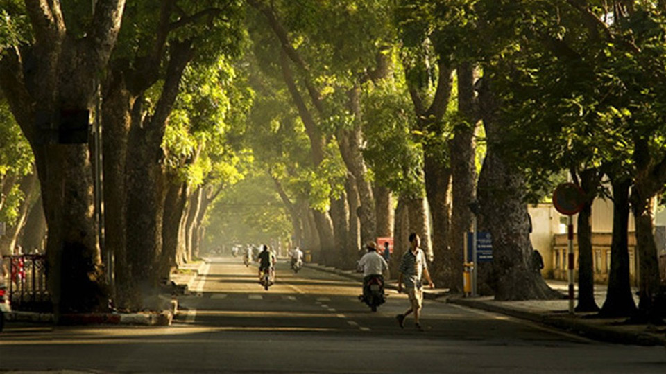 Dự báo thời tiết ngày và đêm 24-9-2019 trên địa bàn tỉnh Nam Định