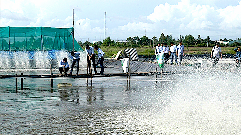 Một số phương pháp dùng thuốc trong nuôi trồng thủy sản