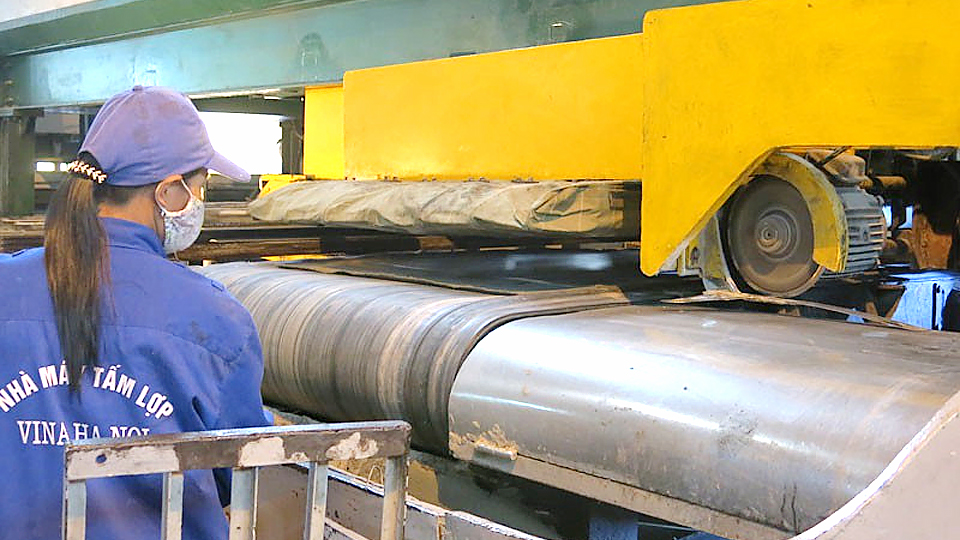 Cấm sử dụng amiang trắng cần dựa trên căn cứ khoa học thuyết phục