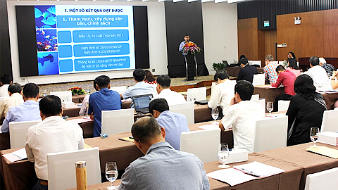 Phát triển hài hòa giữa kinh tế và bảo tồn biển