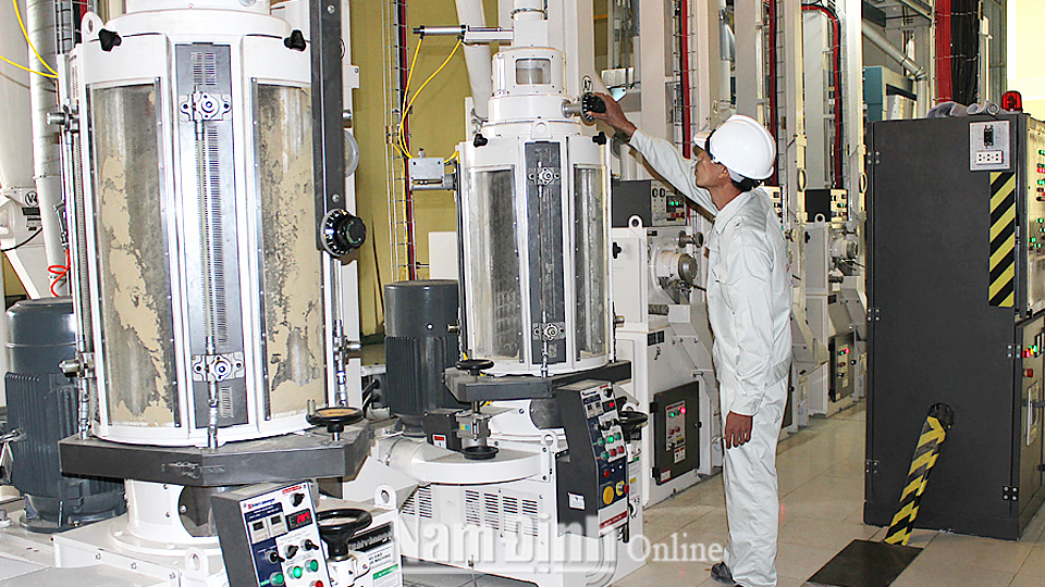 Tiên phong xây dựng chuỗi liên kết sản xuất gạo sạch