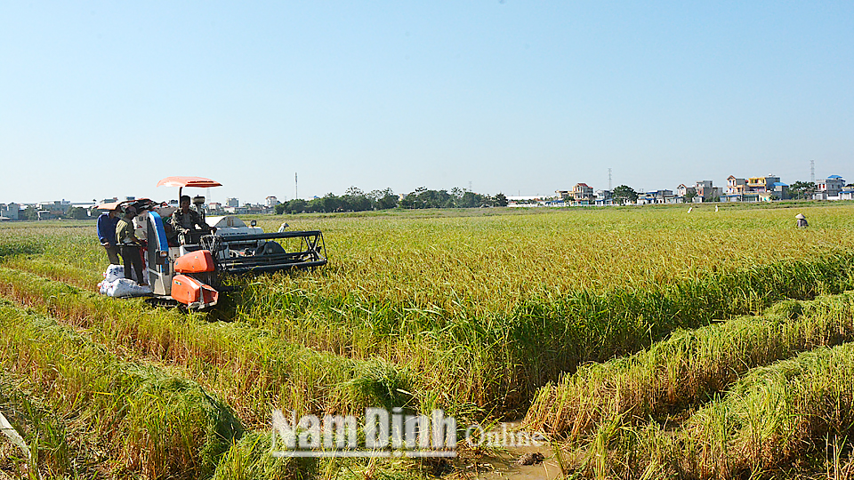 Kinh nghiệm từ vụ lúa mùa thắng lợi