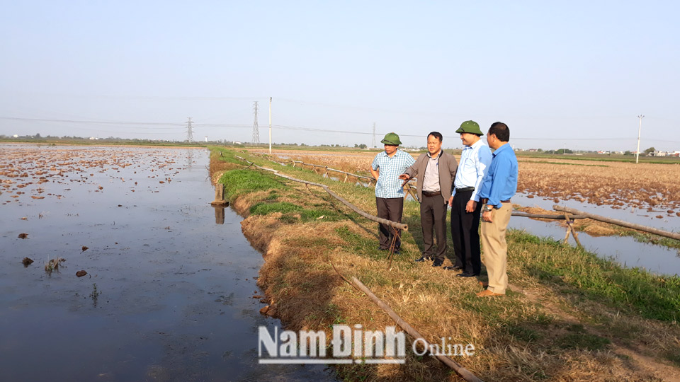 Tập trung cao cho nhiệm vụ lấy nước, bảo đảm gieo cấy lúa xuân trong khung thời vụ tốt nhất