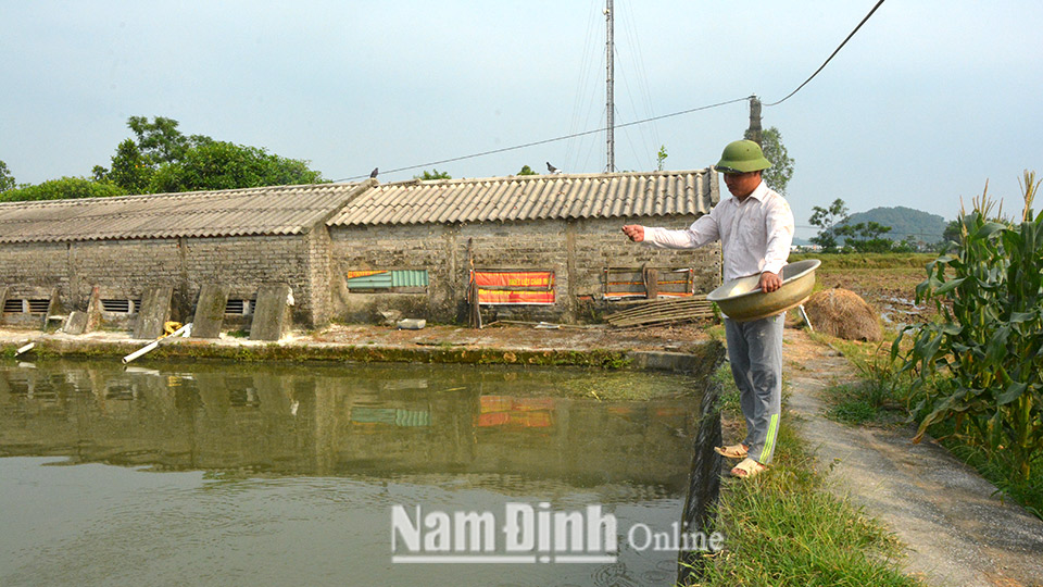 Phát triển nuôi thủy sản chất lượng cao