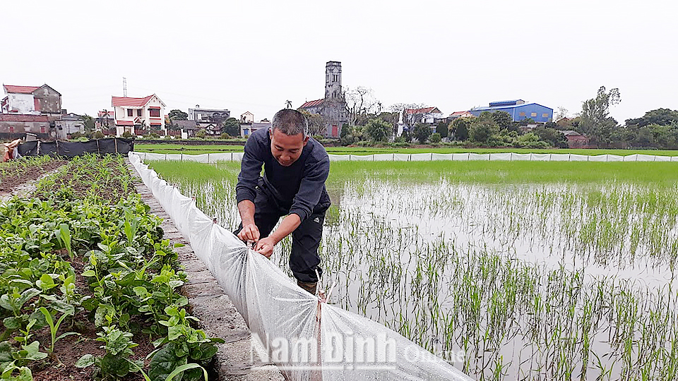 Tin gió mùa đông bắc