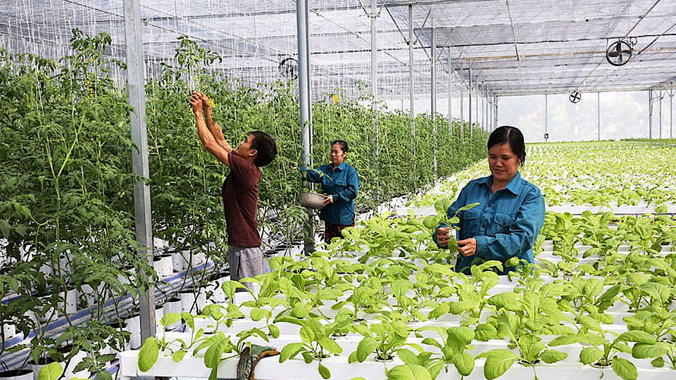 Dự báo thời tiết thủy văn đêm 11 ngày 12-03-2020 trên địa bàn tỉnh Nam Định