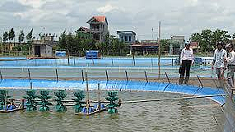 Dự báo thời tiết thủy văn đêm 02 ngày 03-04-2020 trên địa bàn tỉnh Nam Định