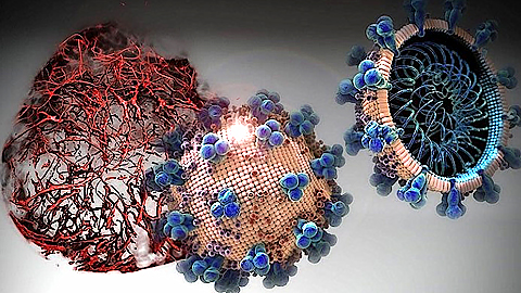 Phát hiện thuốc khiến nCoV nhân lên chậm hơn 1.000 lần