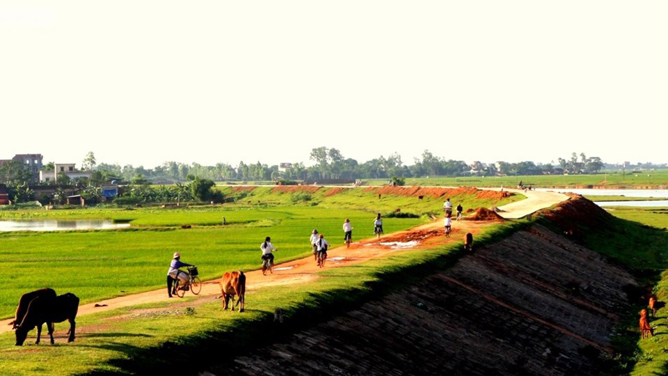 Thăm thẳm triền đê