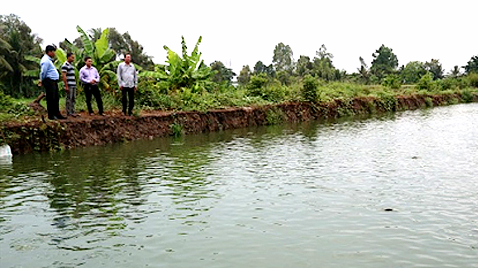 Một số biện pháp để tăng cường sức đề kháng cho động vật thủy sản