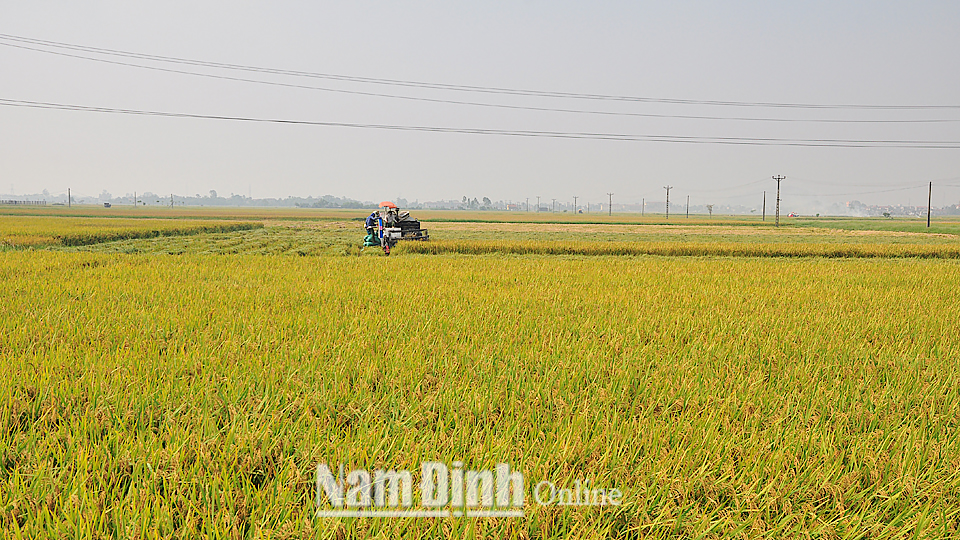 Dự báo thời tiết, thủy văn chiều và đêm ngày 05-05-2020 trên địa bàn tỉnh Nam Định