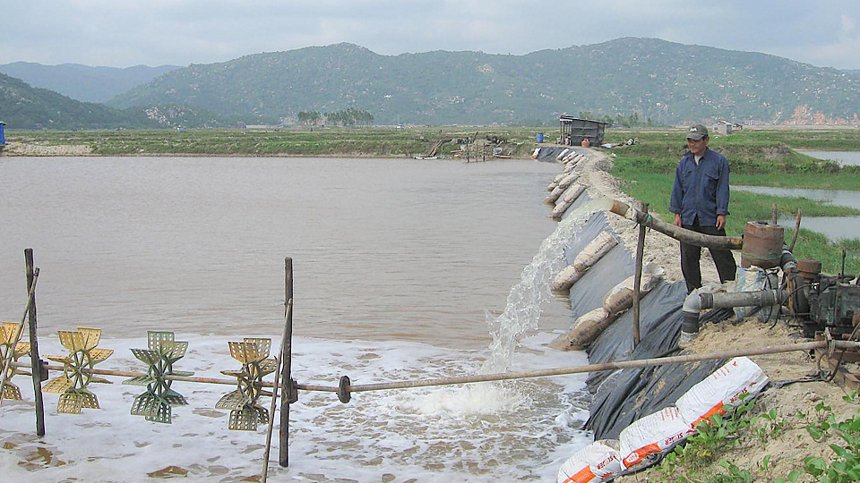 Dự báo thời tiết và thủy văn đêm 14 ngày 15-05-2020 trên địa bàn tỉnh Nam Định