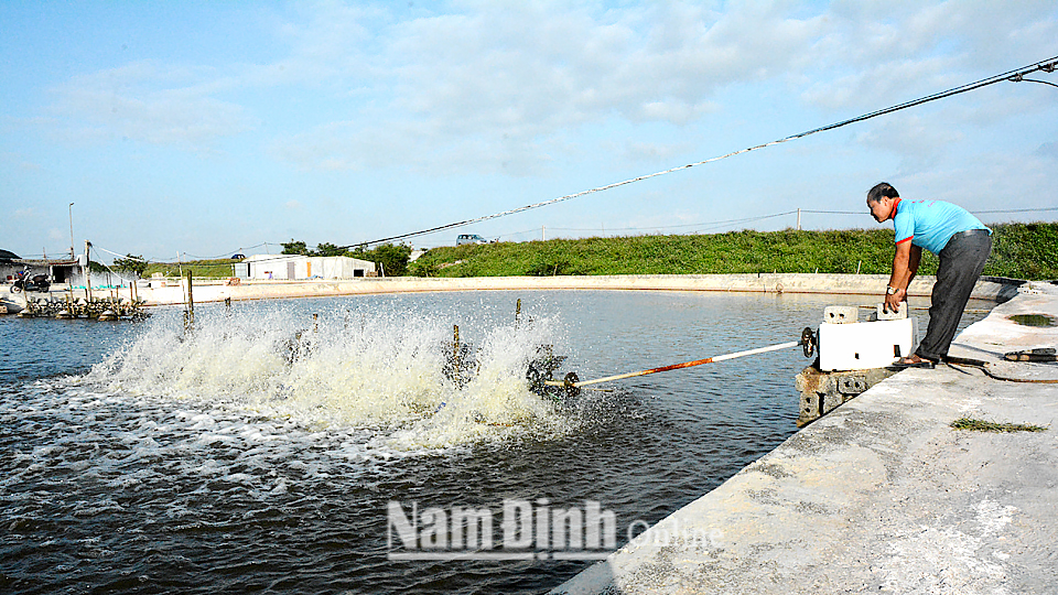 Dự báo thời tiết, thủy văn chiều và đêm 12 tháng 6 năm 2020 trên địa bàn tỉnh Nam Định