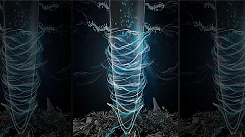 Cảnh báo nguy cơ nhựa nano có thể tích lũy trong rễ cây