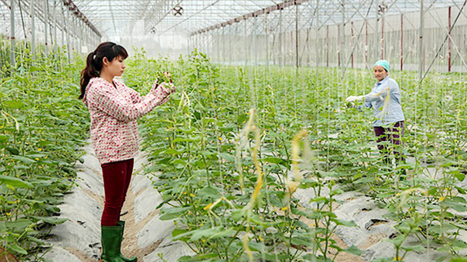 Tin cảnh báo mưa lớn diện rộng