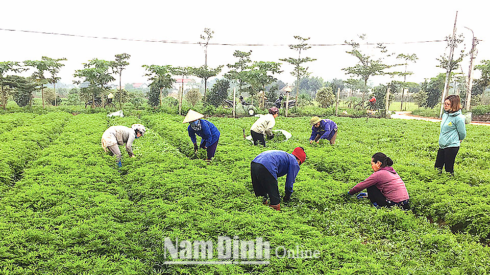 Thúc đẩy tái cơ cấu ngành Nông nghiệp - Yêu cầu cấp thiết (kỳ 2)