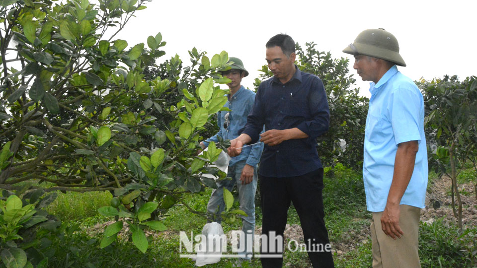 Đẩy mạnh đào tạo nghề nông nghiệp cho lao động nông thôn