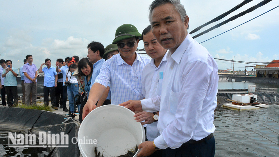 Bộ NN và PTNT kiểm tra công tác phòng, chống dịch bệnh động vật, phát triển chăn nuôi, thủy sản tại tỉnh ta
