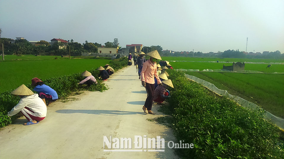 Chung tay bảo vệ môi trường làng nghề