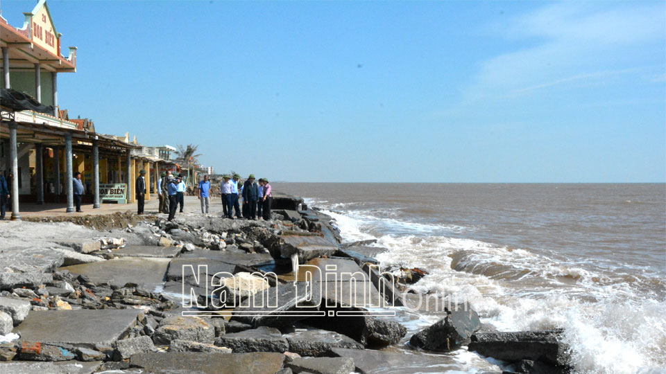 Tập trung xử lý cấp bách đê, kè phục vụ phòng, chống thiên tai trong thời gian tới