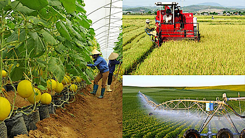 Phấn đấu đến năm 2030 cả nước có trên 5.000 hợp tác xã ứng dụng công nghệ cao