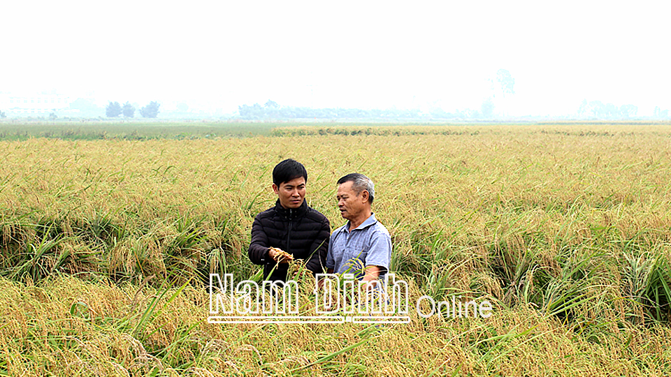 Trực Ninh phát huy hiệu quả của Trung tâm Dịch vụ Nông nghiệp