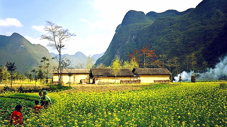 Hanh hao nắng đông