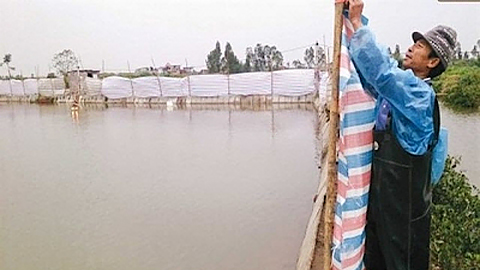 Một số biện pháp chống rét cho con nuôi thủy sản