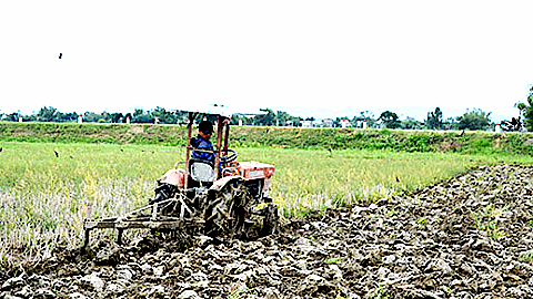 Triển khai nhiệm vụ nông nghiệp và phát triển nông thôn năm 2021