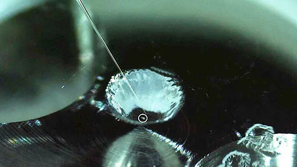 Tìm thấy vật chất hữu cơ liên quan đến sự sống trên bề mặt tiểu hành tinh