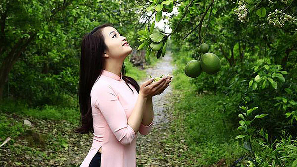 Ngát thơm hương bưởi