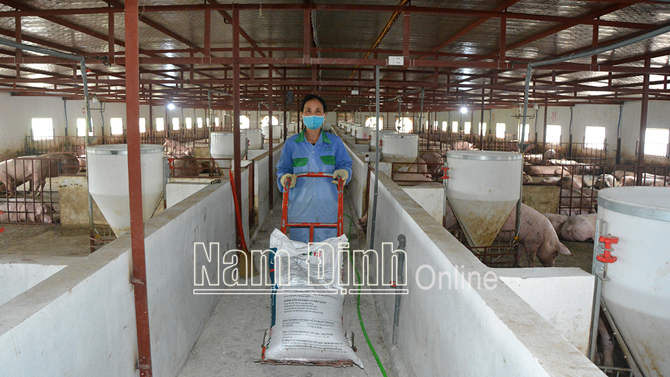 Ngăn chặn không để dịch bệnh động vật lây lan, bùng phát