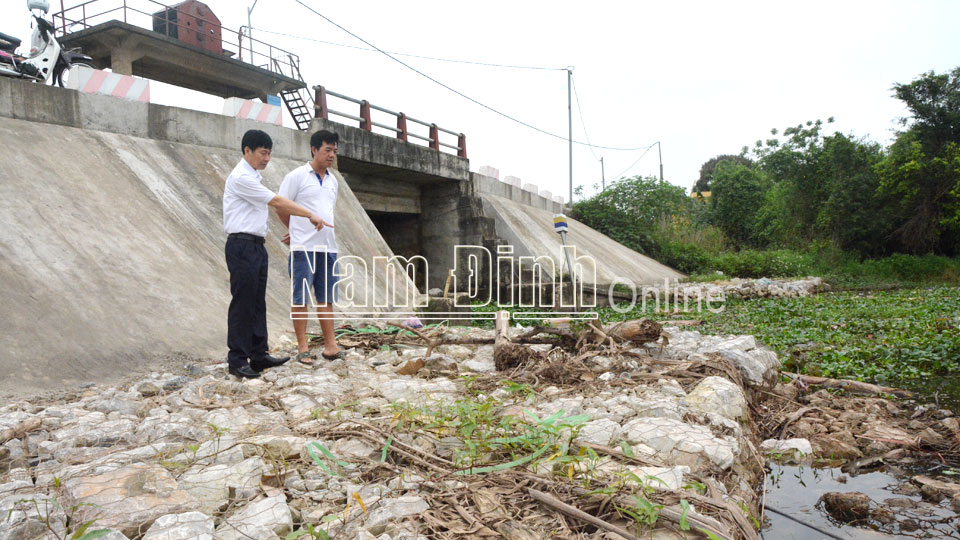 Sẵn sàng các phương án bảo vệ trọng điểm cống Cồn Năm