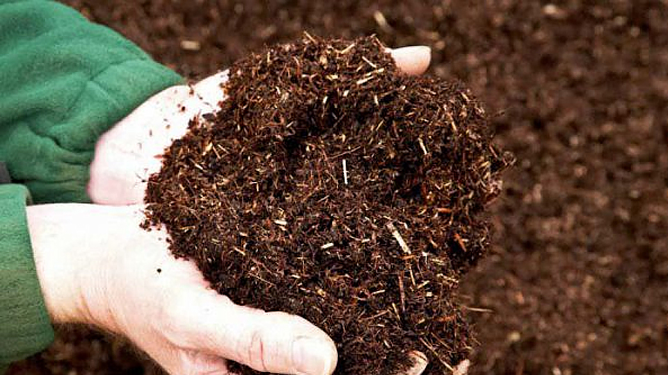 Quy trình sử dụng phân bón hữu cơ phối hợp phân vô cơ cho sản xuất rau an toàn