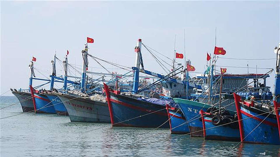 Bổ sung hơn 462 tỷ đồng thực hiện một số chính sách phát triển thủy sản