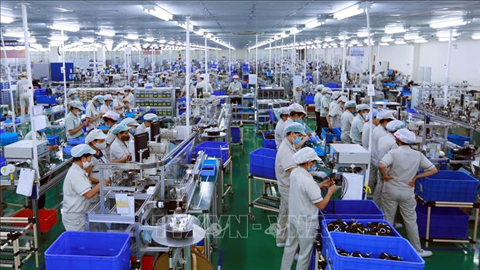 Từ 1-7 sẽ tổng điều tra kinh tế năm 2021 giai đoạn II