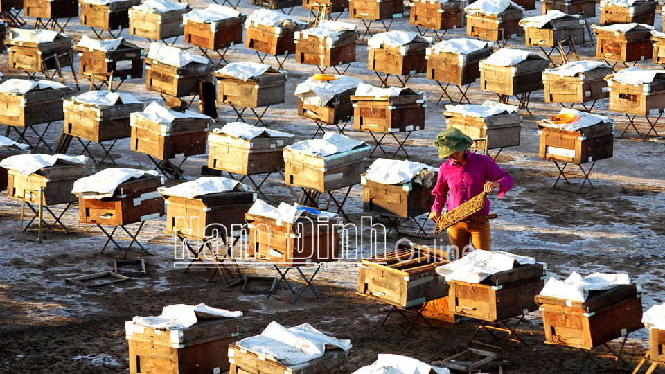 Hoàn thành Tổng điều tra kinh tế năm 2021