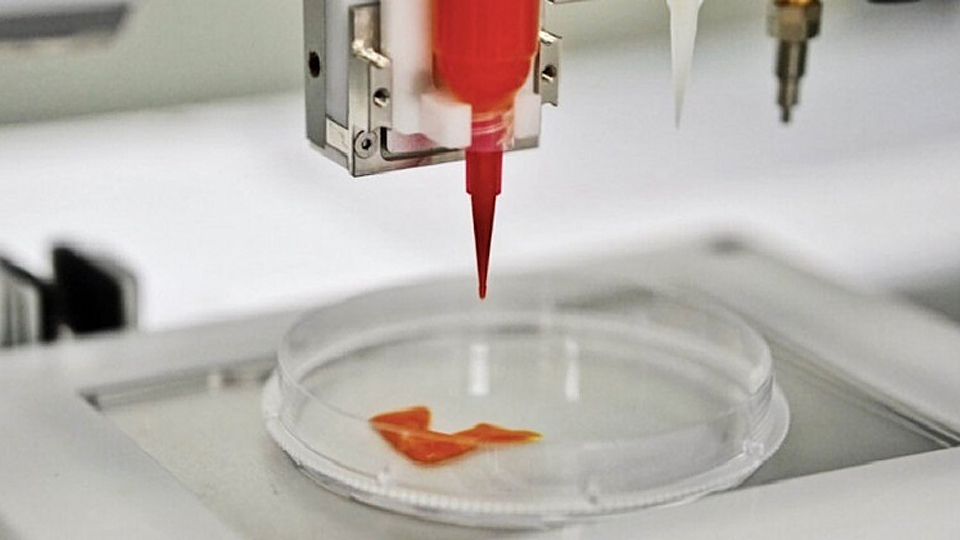 Thịt lợn nhân tạo giá rẻ