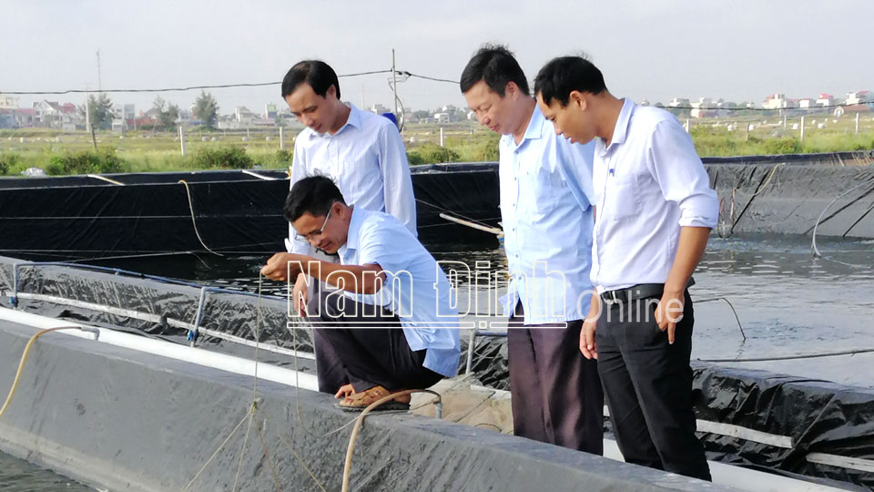 Ứng dụng khoa học kỹ thuật vào sản xuất và đời sống