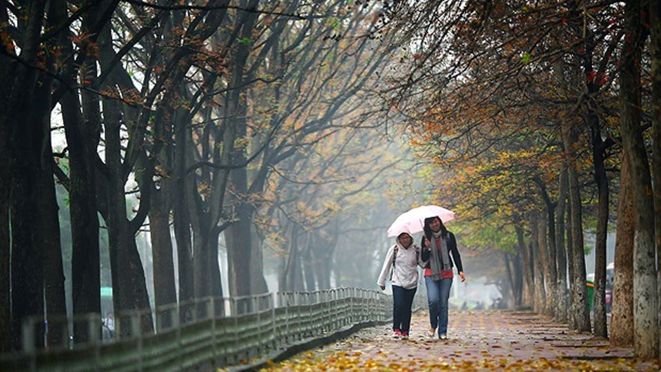 Lặng lẽ đông về