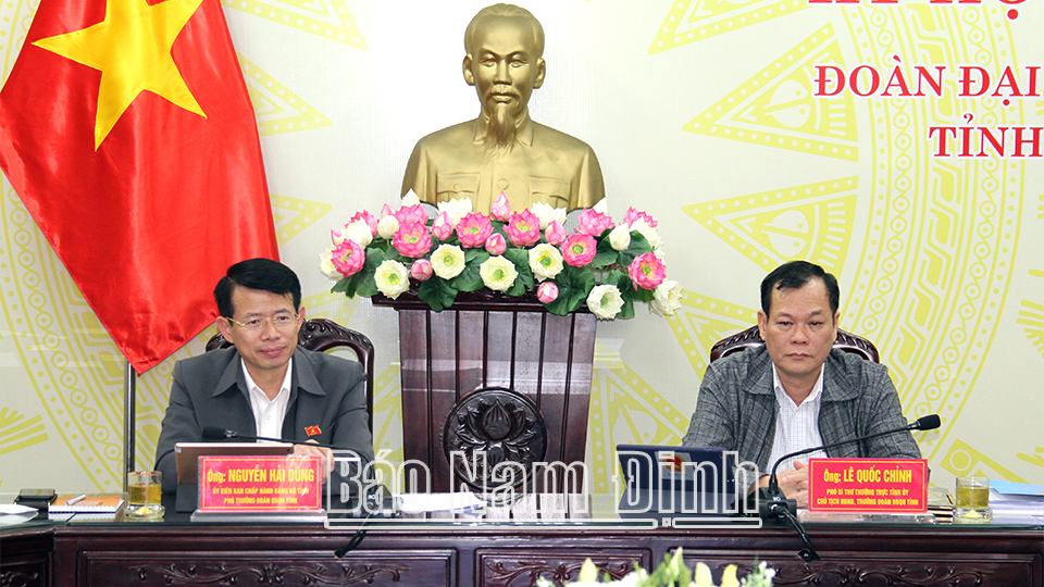 Đoàn đại biểu Quốc hội tỉnh thảo luận, đóng góp ý kiến vào các dự thảo Nghị quyết, dự án luật