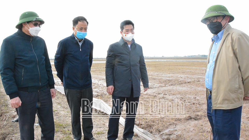 Đồng chí Phó Chủ tịch Thường trực UBND tỉnh đi kiểm tra công tác sản xuất vụ xuân 2022