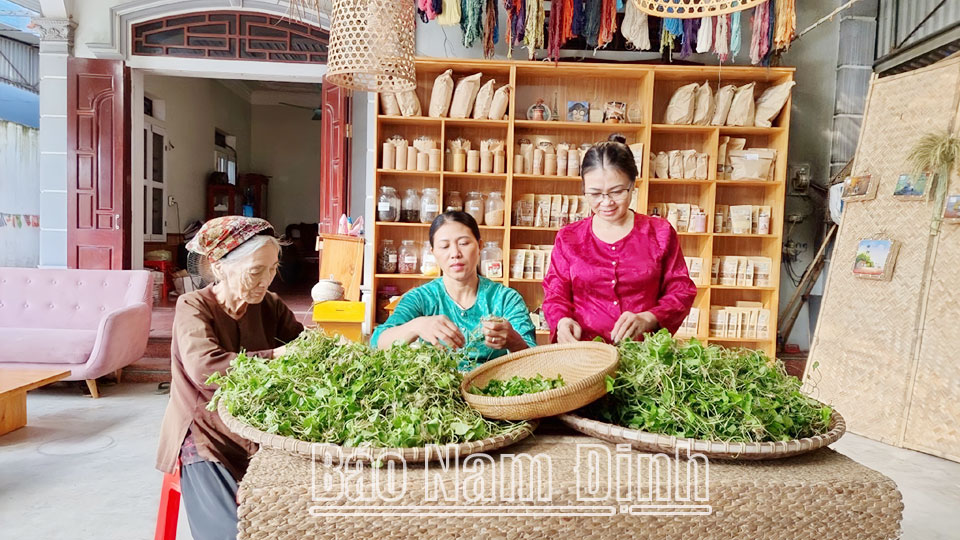 Lối "Sống xanh" để bảo vệ môi trường, sức khỏe