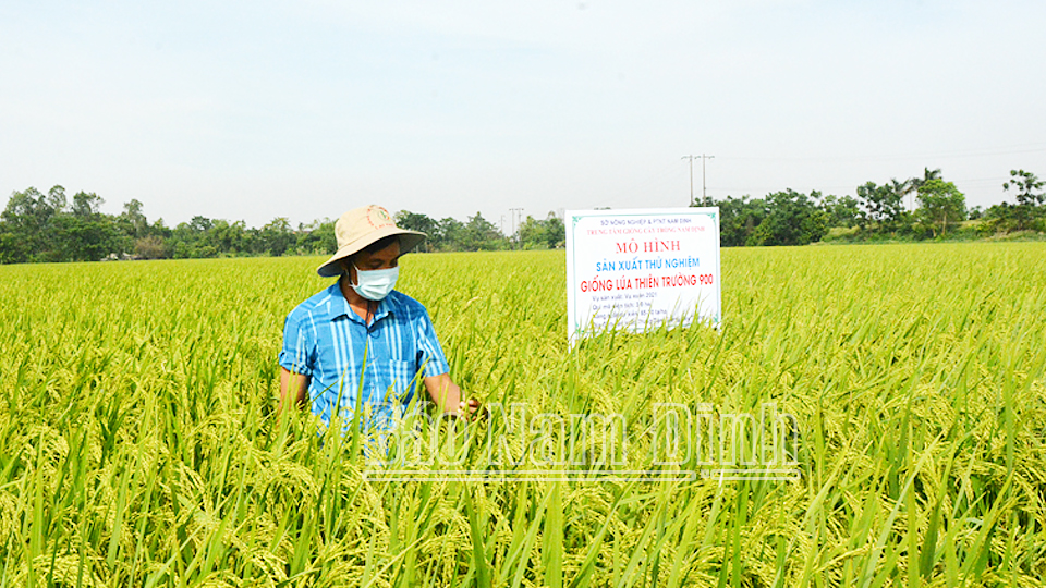 Hướng đến nền nông nghiệp hữu cơ hiện đại (kỳ 1)